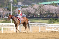 빈체로카발로, 제34회 SBS스포츠 스프린트도 제패…스프린터 시리즈 2연패 청신호