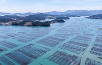 완도군, ‘바다숲 탄소 거래 사업’ 전국 최다 선정