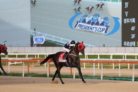 한계를 넘는 호흡, 장거리 왕좌 향한 스테이어 두 번째 관문…제25회 YTN배(G3) 개최