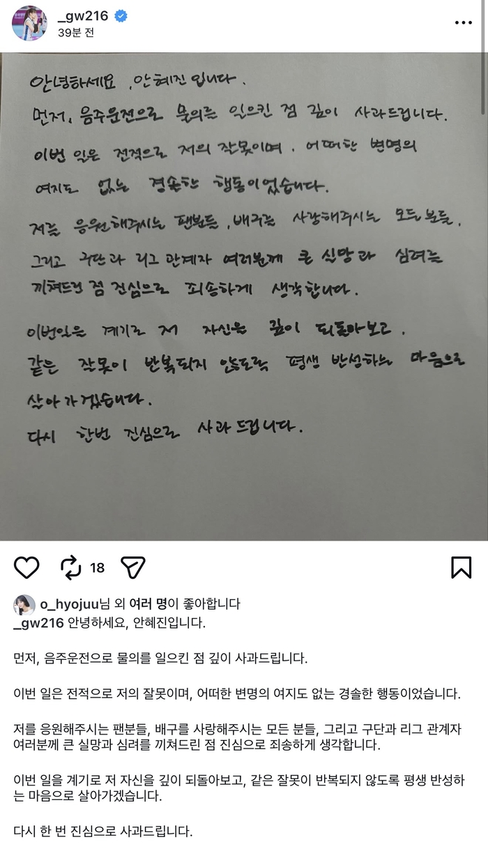 ‘음주운전’ 안혜진 사과문 게시 “변명의 여지 없이 경솔한 행동, 평생 반성하는 마음으로 살겠다”