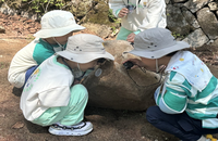 국립횡성숲체원, 꿈이 자라는 ‘유아통합발달 숲교육사업’ 11월까지 본격 운영