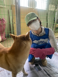 한승연, 안성 유기견 보호소 찾은 따뜻한 행보... 꾸준한 ‘열혈 봉사’