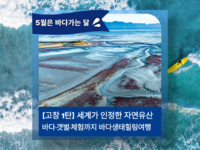 “기차 타고 갯벌·청보리밭으로”…5월 바다가는 달 맞이 고창 당일치기 상품 출시