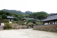 전남도, 봄 행락철 사찰·향교 등 문화유산 안전 강화