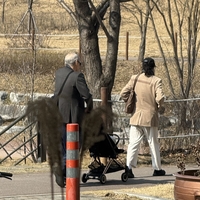 홍상수♥︎김민희, 또 韓 패싱…영화만 상영한다