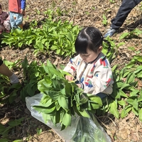 인제활성화사업단, 봄 정취 담은 농촌체험 프로그램 ‘완판’ 행진