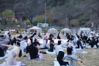 [강원관광재단]청령포원 뒤흔든 ‘별빛요가’ 첫 행사에 폭발적 반응