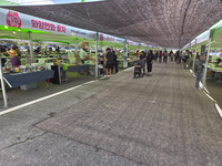 인제군, 2026 인제 에누리장터 첫 개장 ‘대박’ 터뜨렸다!