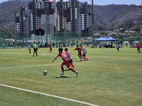 평창군 <2026 평창 스토브리그 축구대회> 열려