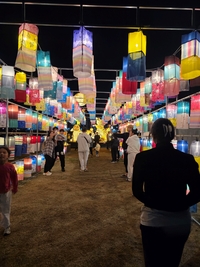 성남시,야탑 다목적광장서 ‘연등회’...30일~5월 5일까지