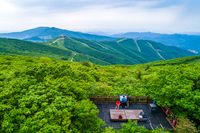 잿빛 운탄(運炭)에서 힐링 운탄(雲坦)으로…‘산악 스포츠 성지’ 된 하이원 [SS창간기획-다시 피어나는 검은 땅⑥]