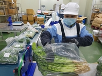 전남도,  친환경 농산물 신뢰 높일 통합 플랫폼 구축