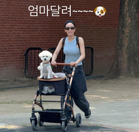 “엄마 달려”...에이핑크 윤보미, 결혼 후 반려견과 함께한 힐링 타임