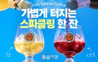 배상면주가, ‘얼리 서머 페스티벌’ 진행…빙탄복·호감 최대 31% 할인
