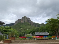 화마(火魔) 스친 상처 딛고 다시 푸르게…생명 싹틔운 ‘암산(巖山)’ 주왕산 [SS여행]