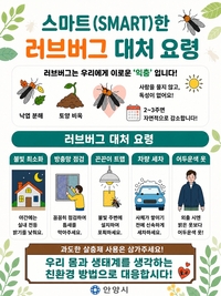 안양시, ‘러브버그’ 발생 선제 대응... 친환경 방제 추진