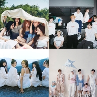 “프로미스나인·NCT 위시 뜬다!”…캐리비안 베이, 역대급 ‘워터 뮤직 풀파티’ 3일 개막