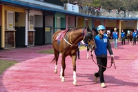 렛츠런파크 서울, 하반기 스프린트 판도 가늠할 1200m 1등급 빅매치 열린다