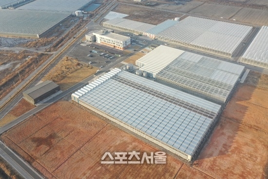 "AI 영농형 태양광 시대 연다"... 전남광주통합특별시 224억 실증사업... - 뉴스 썸네일 이미지