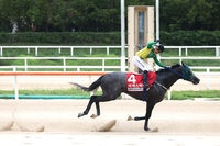 장거리 왕좌 놓고 격돌…KRA컵 클래식(G2), 하반기 판도 가를 전초전