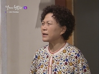 이태란·김상경·김정은 ‘날마다 행복해’, 27년 만에 안방 귀환…5일 하이라이트TV 첫 방송