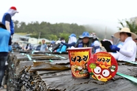 ‘다시마에 진심’…농심, 완도산 다시마 45년째 동행