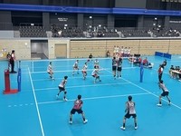 한중일 체육 미래 우정 나누다, 제34회 한중일주니어종합경기대회 29일 폐막…역도 박산해 학생신기록 타이, 김체량 3관왕