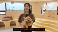 “파양설이라니요”…배우 이수경, 반려견 부모님 위탁 이유 밝혔다