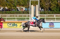 2만7000여명 몰린 국내 첫 국제 G2…코리아컵·코리아스프린트, 경주로 안팎 달아올랐다