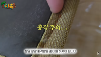 ‘러브버그보다 심각?’ 곤충 유튜버 다흑, ‘베드버그’ 실체 폭로…“방제 매우 어려워”
