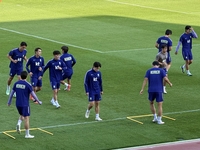 두 경기 빠졌던 ‘중원 핵심’ 황인범, 이틀 연속 정상 훈련 소화 베네수엘라전 출격 대기…새 중원 조합 기대[SS현장]