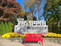 강원도립화목원, 2026년 ‘가을꽃 국화 전시회’ 개최