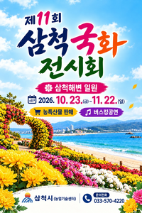 삼척해변에서 국화와 함께 깊어가는 가을 즐기세요!