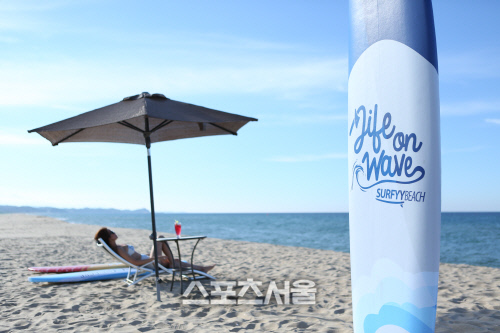 이미지3. 서피비치 이미지컷