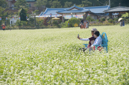 2014 효석문화제 001