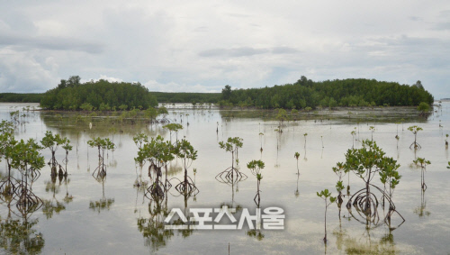 올랑고 공원 길