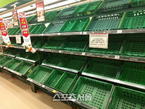 제주도 홈플러스