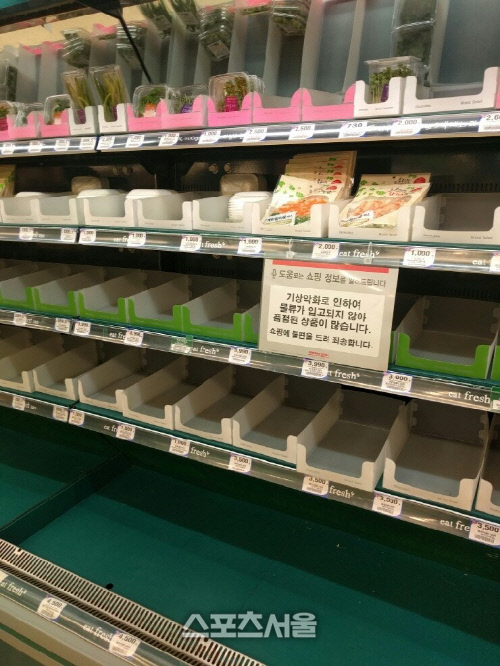 제주도 홈플러스2