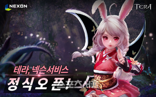 테라 넥슨 서비스 시작