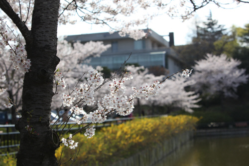 KakaoTalk_20160305_104613110