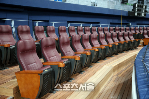 골드 다이아몬드석