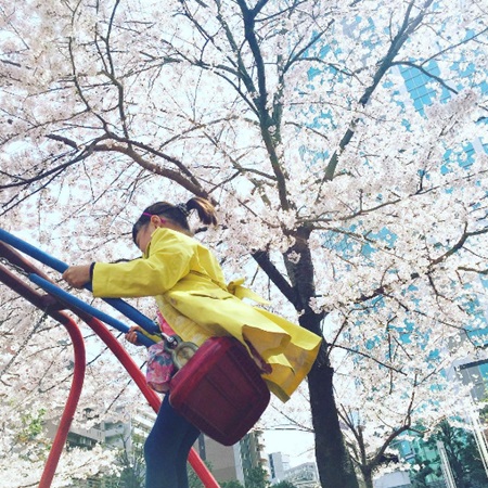 "벚꽃과 사랑이"…야노시호, 봄맞아 사랑이와 나들이 인증샷