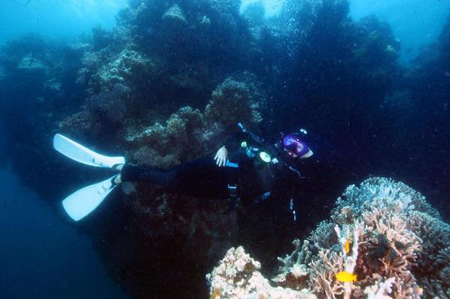 '인어공주가 나타났다!'…요염한 포즈로 스킨스쿠버 중인 조현영