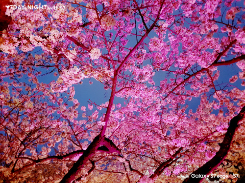 ♥7 Day & Night with S7(1) F