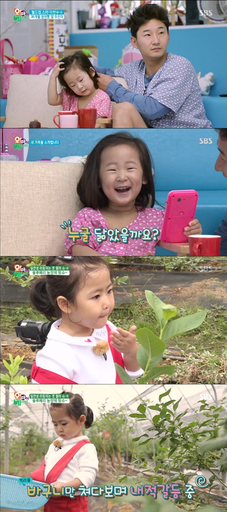 ‘오마베’ 이천수 딸 주은이 등장, 블루베리에 빠진 라둥이 (종합)