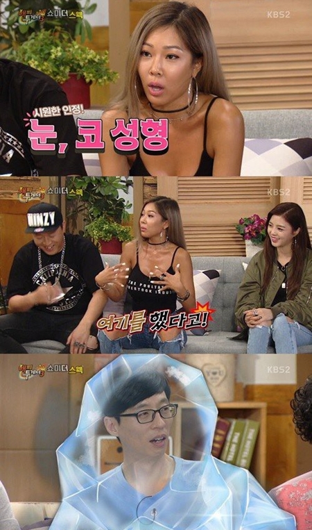 [SS기획] "내 성형이 어때서?"…솔직 당당한 ★들의 성형고백