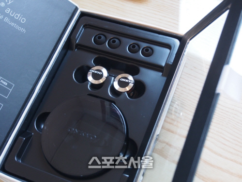 온쿄 블루투스 완전무선 이어폰 W800BT