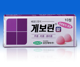 200001010000000_게보린케스이미지