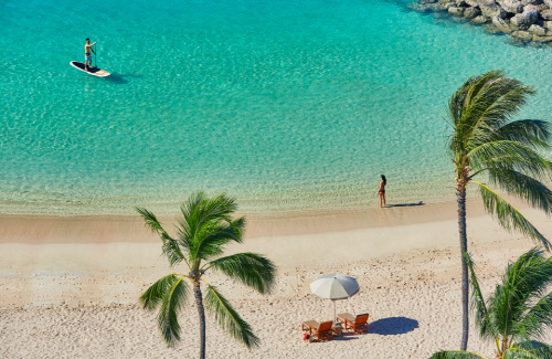 포시즌스 오아후 - 인트로덕터리 오퍼 (스탠드업 패들보딩)