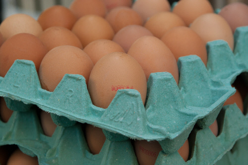 eggs-1887395_1920